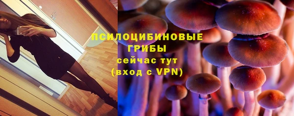 ECSTASY Волоколамск