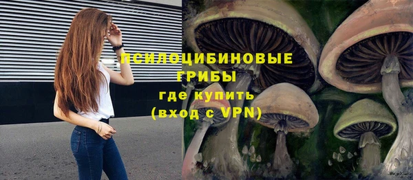ECSTASY Волоколамск