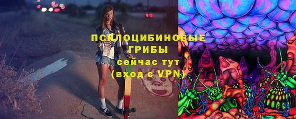 бошки Володарск